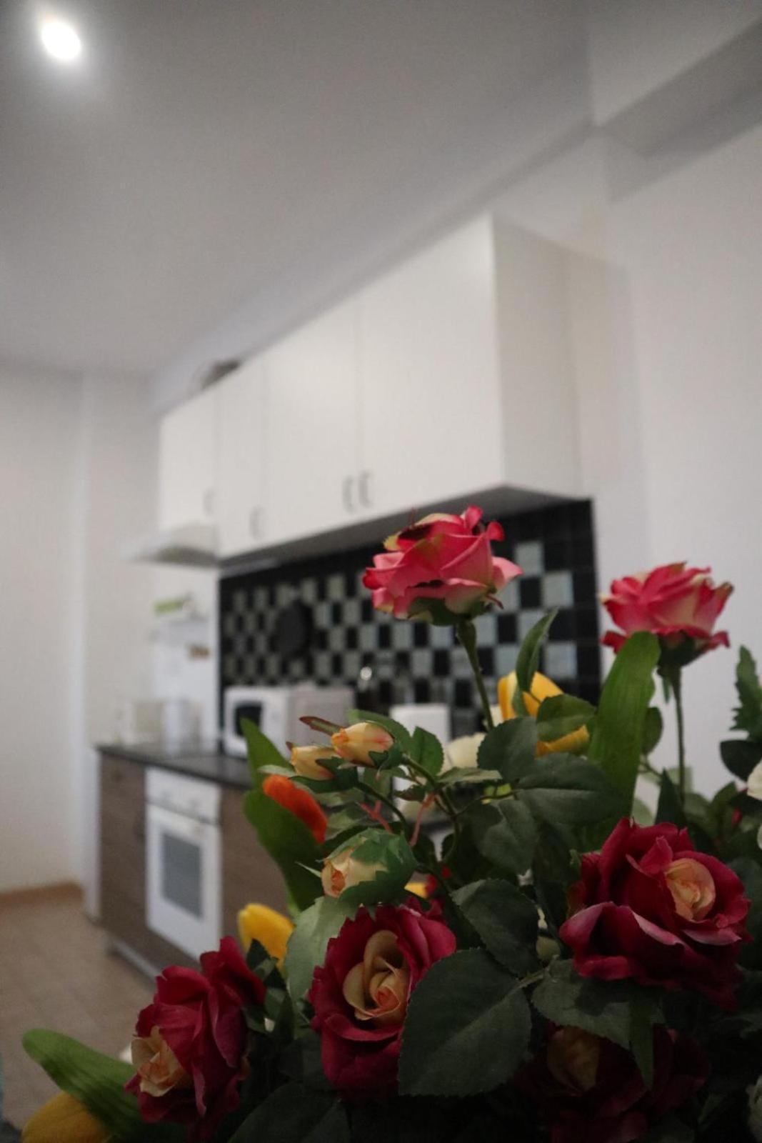 Ale Apartment Rom
